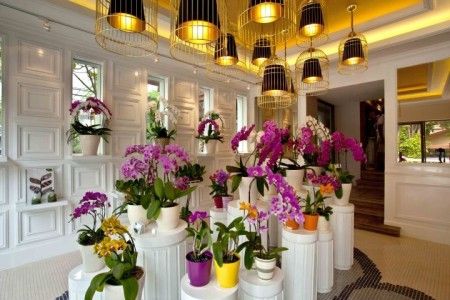 طراحی مغازه گل فروشی 