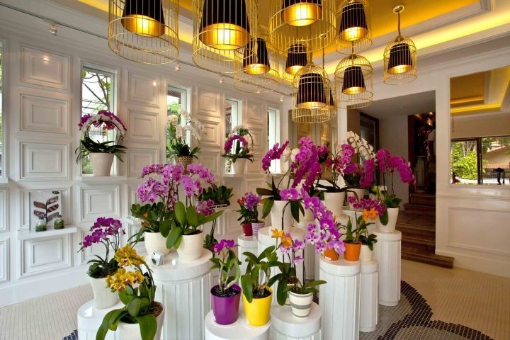طراحی مغازه گل فروشی 