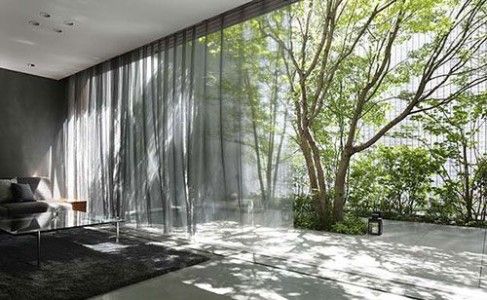 معماری بی نظیر برگرفته از طبیعت